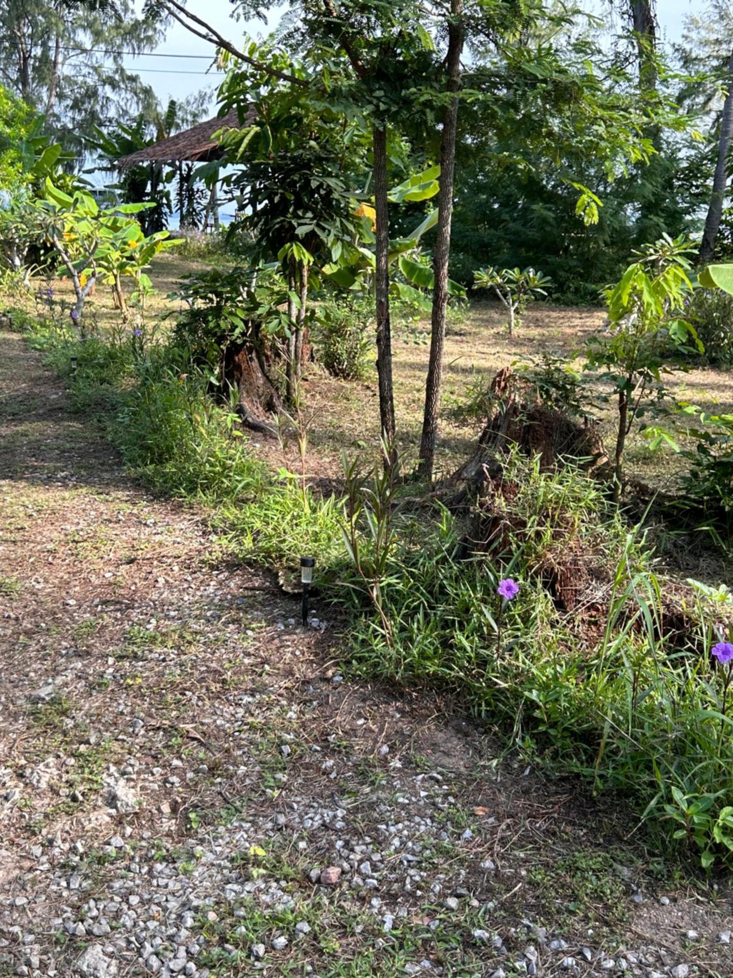 Neverland Beach Village Bungalows Koh Lanta Exterior photo