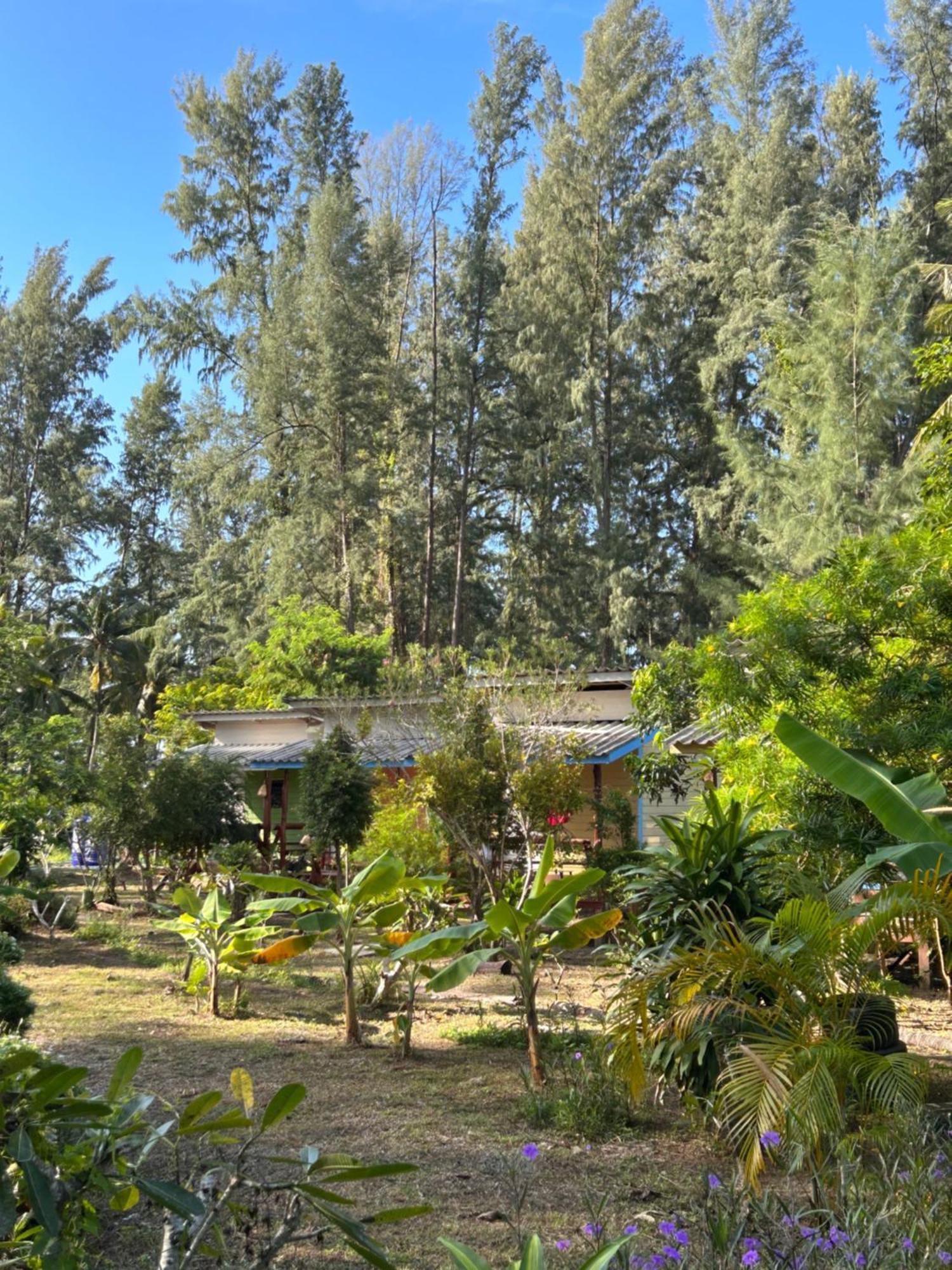 Neverland Beach Village Bungalows Koh Lanta Exterior photo