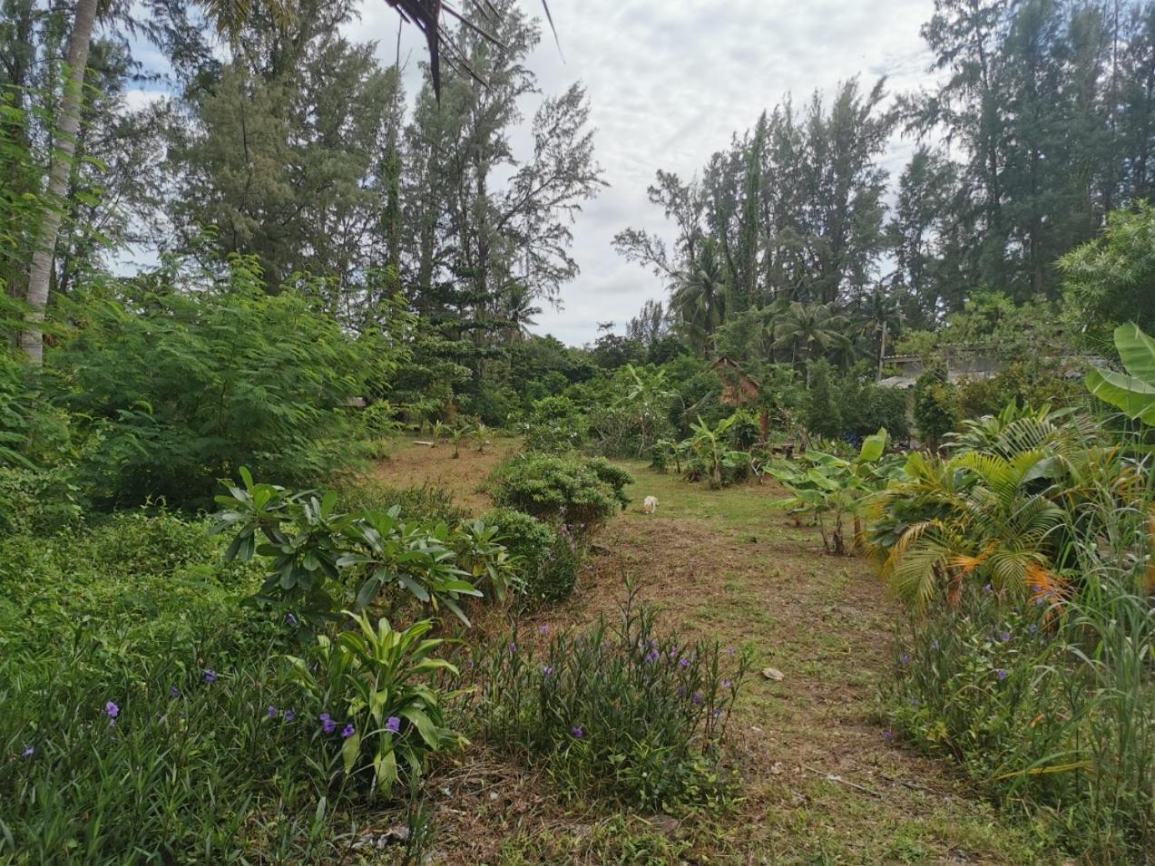 Neverland Beach Village Bungalows Koh Lanta Exterior photo